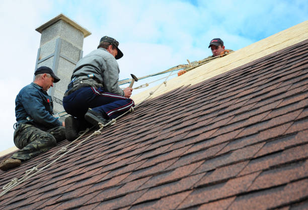 Best Metal Roofing Contractor  in Seven Lakes, NC